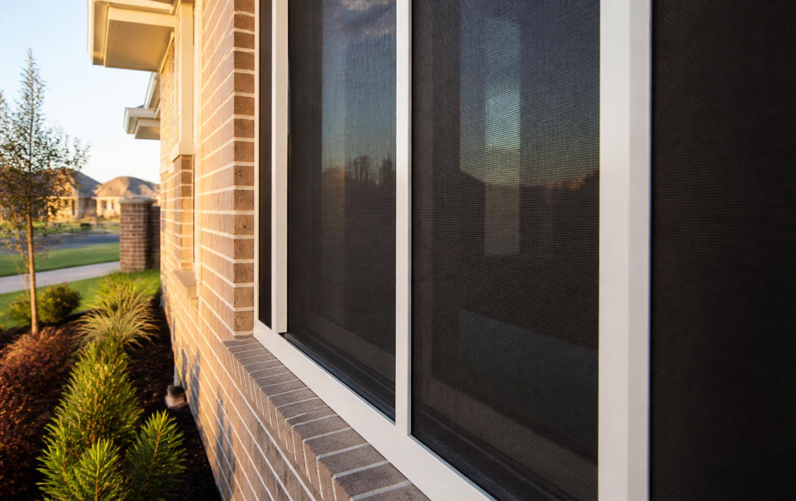Newly installed black mesh window screens on a Dallas–Fort Worth home